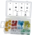 Mini fusible enfichable assortiment - coffret de 50 pcs