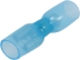 Cosse plate femelle 100% isolée thermorétractable bleue 6,3x0,8mm - lot de 10 pcs