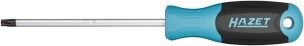 Tournevis ∙ taille t27