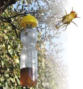 Piège à mouches et insectes - lot de 3 pcs