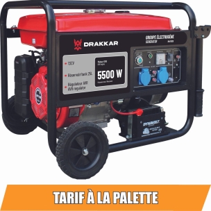 Groupe électrogène AVR monophasé essence 5500W 13CV démarrage électrique avec kit brouette
