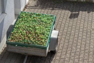 Filet de remorque avec sandow 1200x1600mm max Filet de remorque avec sandow 1200x1600mm max