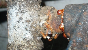 Dégrippant 12 fonctions d'origine végétale - aérosol 400ml