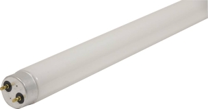 Néon pour destructeur d'insectes