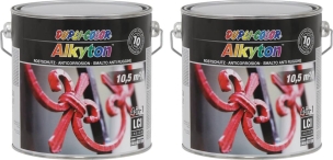 Peinture antirouille RAL 9005 noir brillant - lot de 2 pots de 2,5L