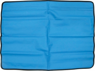 Protection magnétique