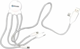 Câble de charge multi-empreintes double entrée USB/USB-C