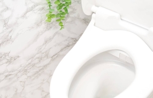 Détartrant rénovateur WC à effet moussant - bouteille de 1L