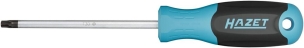 Tournevis ∙ taille t30