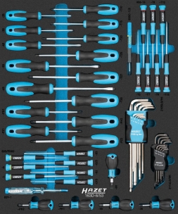 Module mousse plein de 53 tournevis