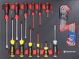 Module mousse 530x395 carbone tournevis et clés coudées - 31 pcs