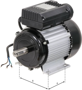 Moteur électrique 2CV 230V 3000 tr/min