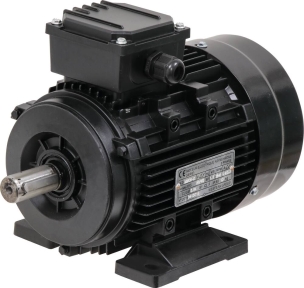 Moteur électrique 2CV 400V 3000 tr/min Moteur électrique 2CV 400V 3000 tr/min