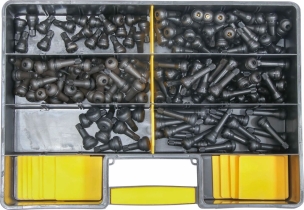 Valve tubeless - coffret de 200 pcs