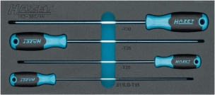 Module mousse plein 4 tournevis Torx®