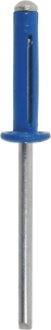 Rivet pétale spécial plaque d'immatriculation bleu 4x18mm - 100 pcs