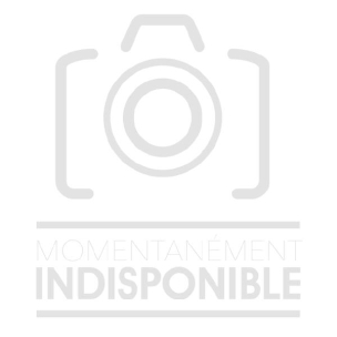 Tournevis plat avec poignée en T pour bouchons de batterie