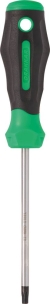 Tournevis Torx® alésé TT25 100mm - carte