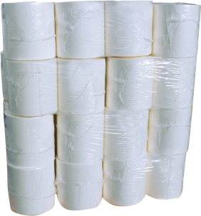 Ouate blanche 880 formats 260x350mm - lot de 2 bobines