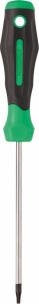 Tournevis Torx® alésé TT10 100mm