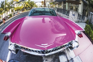 Polish écologique - flacon de 1L