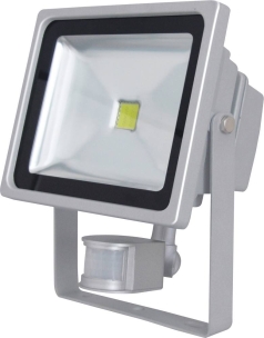 Projecteur LED COB 30W 2600 lumens avec détecteur radar