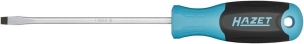 Tournevis ∙ taille 1 x 5,5 mm