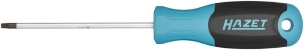 Tournevis ∙ taille t10