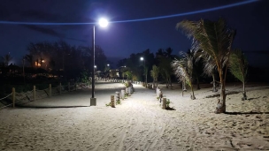 Lampadaire solaire LED 1600 lumens 15W avec détecteur