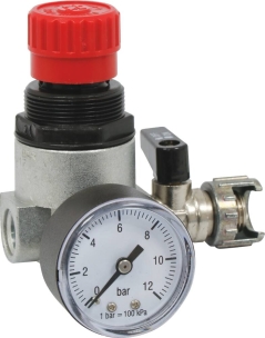 Réducteur de pression 1/4" avec manomètre