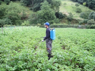 Pulvérisateur à dos 16L à pression entretenue