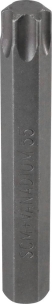 Embout hexagonal 10x75mm avec empreinte Torx® T55