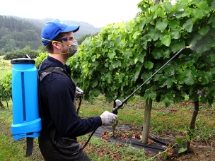 Pulvérisateur à dos 16L à pression entretenue