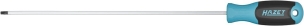 Tournevis ∙ taille t15