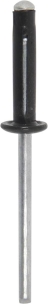 Rivet pétale spécial plaque d'immatriculation noir 4x18mm - 25 pcs