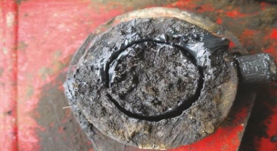 Dégrippant 12 fonctions d'origine végétale - pulvérisateur de 500ml