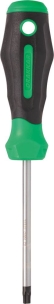 Tournevis Torx® alésé TT30 100mm - carte