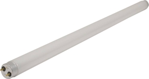 Néon pour destructeur d'insectes