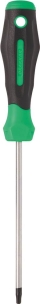 Tournevis Torx® alésé TT15 100mm - carte