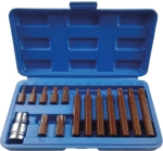 Embout hexagonal 10mm Torx® de T20 à T55 avec douille 1/2 porte-embouts - coffret PVC de 15 pcs