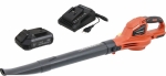 Souffleur de feuilles sur batterie 20V - 242 m³/h - batterie 2Ah - chargeur 3A