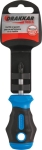 Tournevis Pozidriv® tom pouce PZ2 38mm - carte