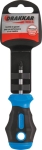 Tournevis Pozidriv® tom pouce PZ1 38mm - carte