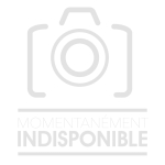 PN N°85 lot perceuse visseuse à percussion 20V 50Nm, adaptateur/riveteur pour visseuses et 2 lots de 250 rivets pétales