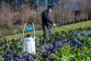 Pulvérisateur électrique sur roues 30L - joint viton