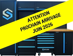 Mobilier d'atelier 4 éléments plateau bois 38mm