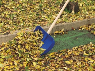 Pelle à grain/à neige PVC bleue 500mm avec languette aluminium et manche 1,2m