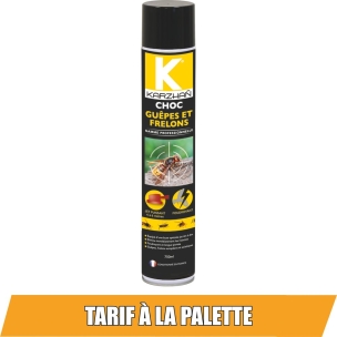 Insecticide CHOC GUEPES-FRELONS - aérosol de 750ml