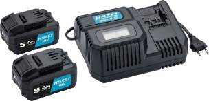 Pack de 2 batteries 18V Li-ion 5Ah