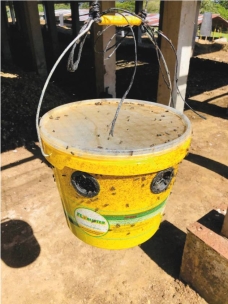 Piége à mouches FLYBUSTER avec seau de 10L et activateur